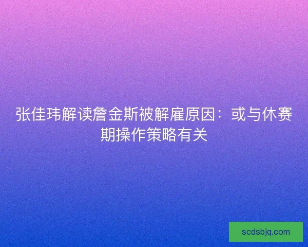 张佳玮解读詹金斯被解雇原因：或与休赛期操作策略有关